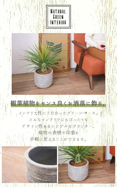 楽天市場 プランター 植木鉢 6号用 おしゃれ 鉢植え プランターボックス プランターカバー ガーデニング インテリア 園芸 酸化マグネシウム Grnb 3 ポコア 京都生まれのふとん店 楽天市場 プランター 植木鉢 6号用 おしゃれ 鉢植え プランターボックス プランターカバー ガーデニング インテリア 園芸 酸化マグネシウム Grnb 3 ポコア 京都生まれのふとん店