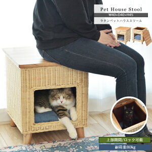【MAX1,000円OFFクーポン】ラタン 猫 犬 ベッド スツール キャットタワー ハウス クッション付き 隠れ家 猫カフェ カフェ風インテリア 北欧 ナチュラル おしゃれ かわいい 収納 スツール 玄関椅