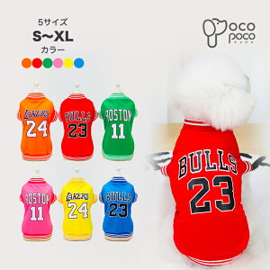   N[ ^Ngbv bV Ђ X |[c   킢  ₷ ̎q j̎q IX X Ȃ m[X[u lC CX^f