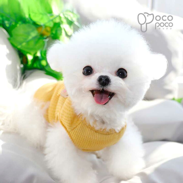 楽天市場 犬服 春夏 小型犬 可愛い 犬の服 ドッグウェア 熊柄 タンクトップ 袖なし ノースリーブ キャミソール 涼しい おしゃれ 女の子 男の子 大人気 インスタ映え プレゼント 職人手作り犬服のポコポコ