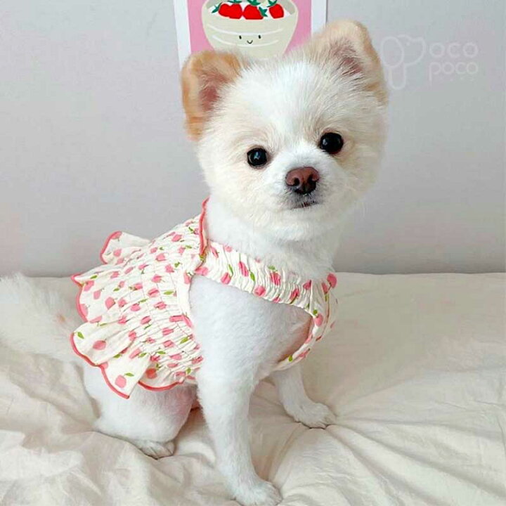 楽天市場 犬 服 ワンピース おしゃれ おもしろ かわいい 可愛い 着せやすい 女の子 男の子 大人気 インスタ映え 着用動画あり 職人手作り犬 服のポコポコ