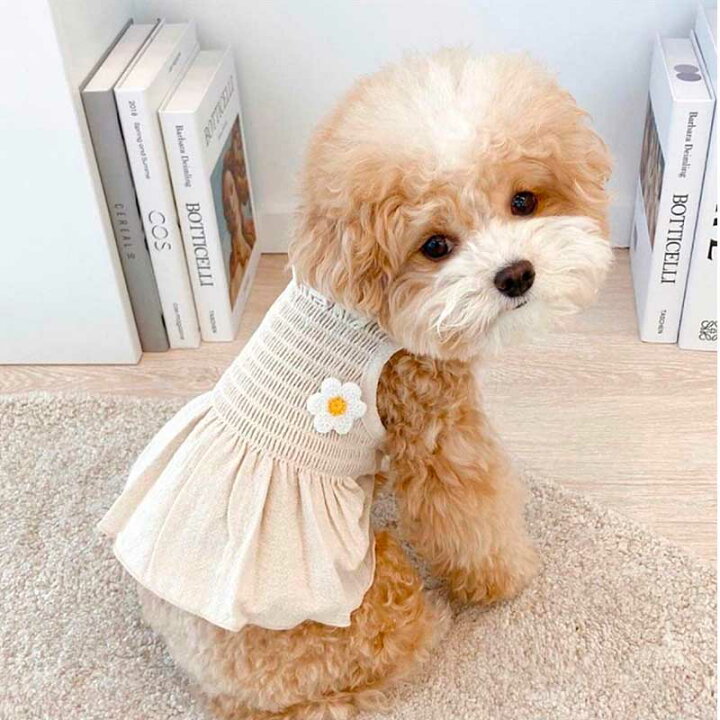楽天市場 犬 服 春服 夏服 ワンピース クマ柄 おしゃれ おもしろ かわいい 可愛い 着せやすい 女の子 男の子 大人気 インスタ映え 職人手作り 犬服のポコポコ