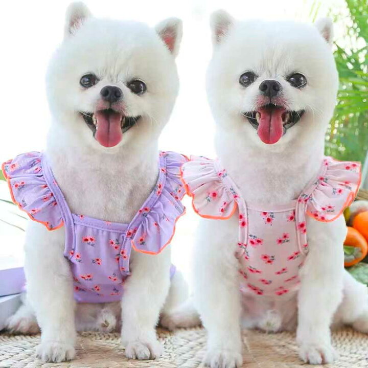 楽天市場 犬服 春夏 小型犬 可愛い お買い得 犬の服 ドッグウェア キャミソール 袖なし ノースリーブ 春 夏 春夏おしゃれ 可愛い 女の子 男の 大人気 インスタ映え プレゼント 職人手作り犬服のポコポコ 楽天市場 犬服 春夏 小型犬 可愛い お買い得 犬の服 ドッグウェア キャミソール 袖なし ノースリーブ 春 夏 春夏おしゃれ 可愛い 女の子 男の 大人気 インスタ映え プレゼント 職人手作り犬服のポコポコ