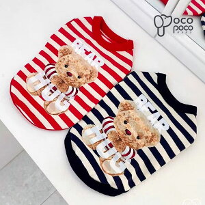 ySi|Cg5{z ĕ ^Ngbv Ȃ N[  ^  jZbNX JCC yAbN gCv[h  іh~  킢 ₷ l