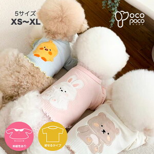  ĕ Jbg\[ TVc    킢  LN^[ ₷ ̎q j̎q uh іh~ UEFA yAbN CX^fy悠z