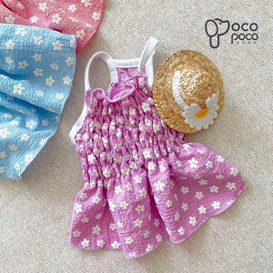 ySi|Cg5{z  s[X  N[   킢  ₷ ̎q j̎q lC CX^f