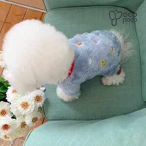 ySi|Cg5{z ̕ hbOEFA g H~  [EFA N} F t H ~ ё΍ hbOEFA  ^p pW} Ȃ Jo[I[ p[X I