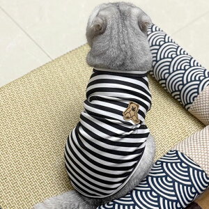 ySi|Cg5{z ̕ JCC yAbN tVc {[^[   킢  ₷ ̎q j̎q CX^f t  V ^ ^