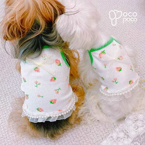 ySi|Cg5{z t L~\[ ^  LkQ 䕕  p[  ̎q j̎q yAbN lC CX^f v[g