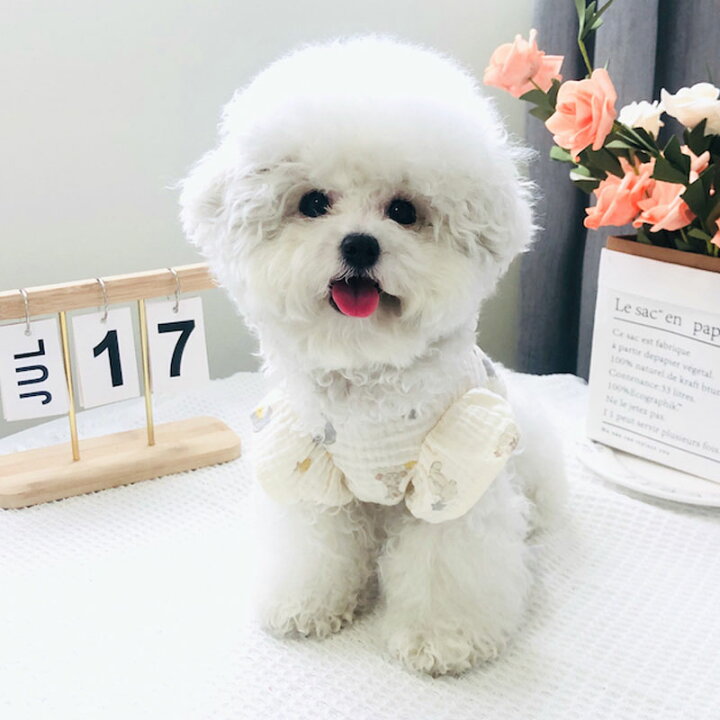 楽天市場】【10%ポイントバック】犬 春夏服 タンクトップ カットソー 