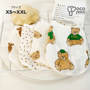 ySi|Cg5{z t  ~ ^ ^Ngbv  F Ȃ m[X[u L~\[  ΍   ̎q j̎q lC CX^f v[