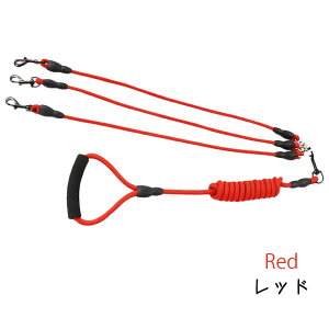 ySi|Cg5{z[h gv[h _u[h }`wbh[h  ybgpi  3Cp 2Cp  O\ y v ȒP ϋv [h{ [v U