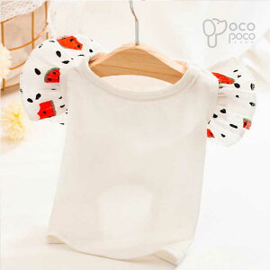 ySi|Cg5{z t  ĕ N[ 킢 ^ TVc XCJ t    Jbg\[ Vc  ̎q j̎q lC CX^f v[g