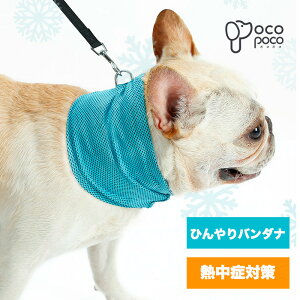   hbOEFA ̕ o_i N[o_i XJ[t N[XJ[t Ђ  p o_i p N[ XJ[t ΍ M \h yʁyp悠z