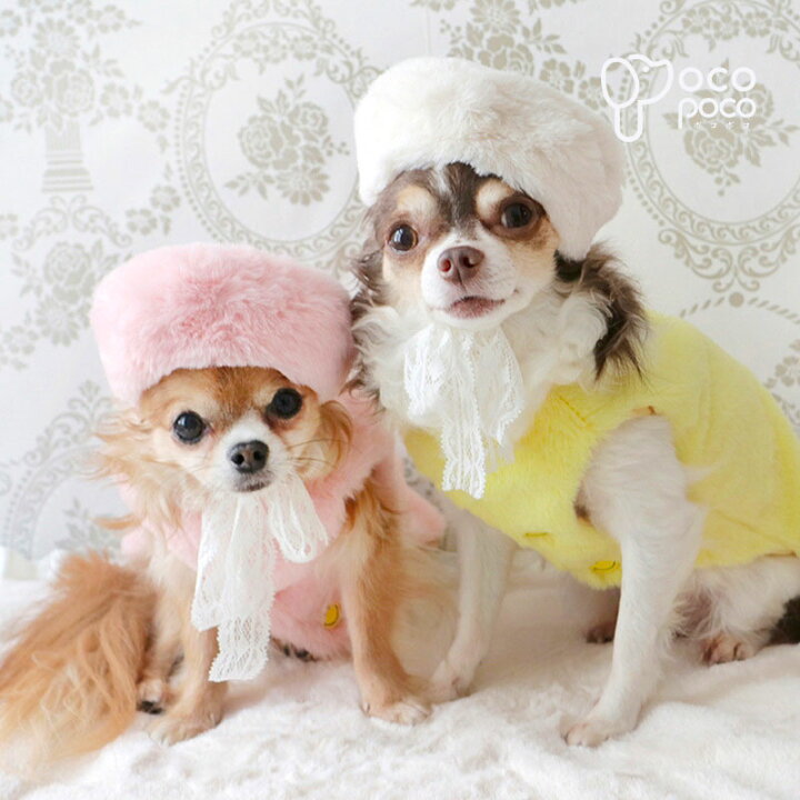 楽天市場 犬 帽子 小型犬 可愛い カワイイ チワワ 服 誕生日 癒し グッズ 写真撮影 小物 アクセサリー ファッション ペットグッズ 職人手作り 犬服のポコポコ