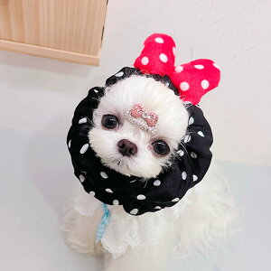 ySi|Cg5{zybgp Xk[h t[hJo[h~ Jo[ HXk[h H U 킢   p Lp t H h ybg   h~