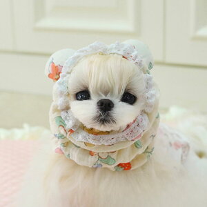 ybgp Xk[h t[hJo[h~ Jo[ HXk[h H U 킢   p Lp t H h ybg   h~