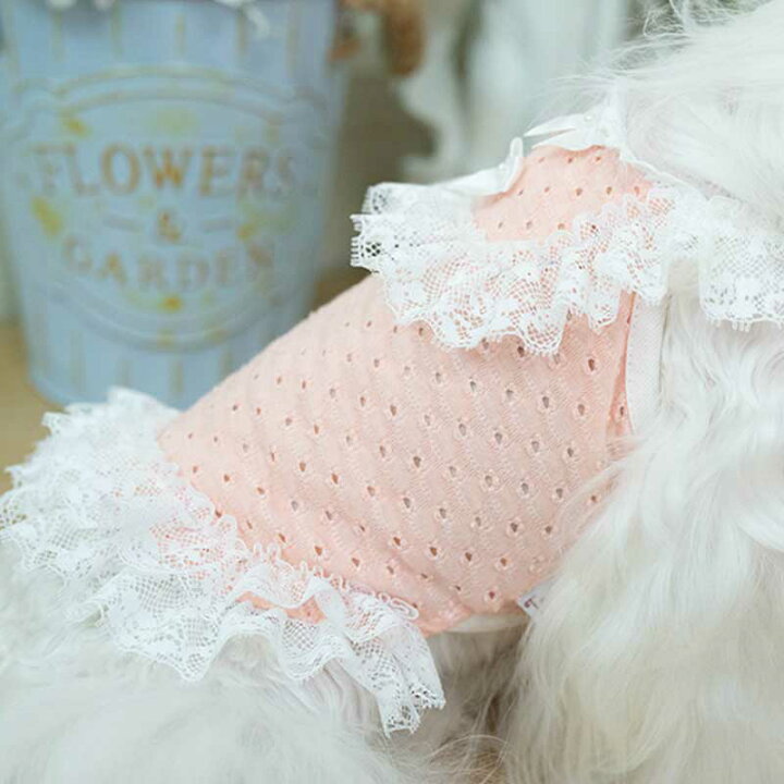 楽天市場】【スーパーSALE半額】犬服冬服 キャミワンピース パンチング 