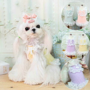 ~ L~s[X p`O     킢  ₷ ̎q j̎q 