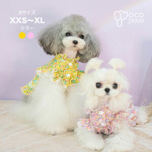 s[X t ԕ     킢  ₷ ̎q j̎q uh  U 