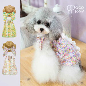 L~s[X t ԕ     킢  ₷ ̎q j̎q uh  U 