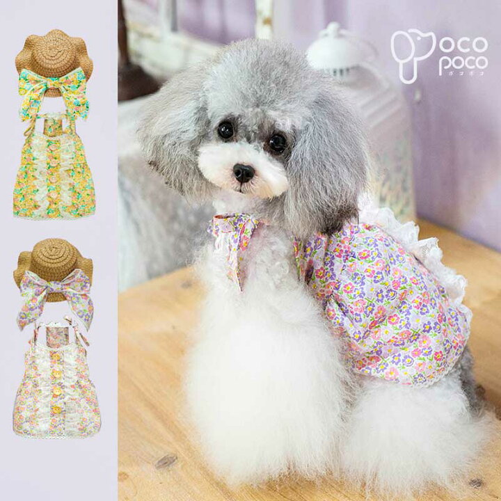 犬服^ ^フワフワフリフリきゃみ