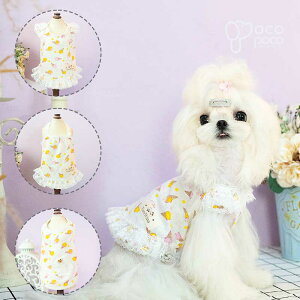 ~ s[X L~\[ ^Ngbvt ܕ ACXN[     킢  ₷ uh  ̎q j̎q U 