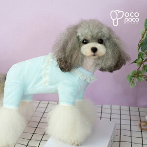  hbOEFA Ȃ Jo[I[ Tybg hbOEFA ybgEGA Ȃ  pW} U 킢  o lC CX^f  NX}X