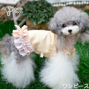  L~\[@s[X  ₷ ̎q j̎q @ U