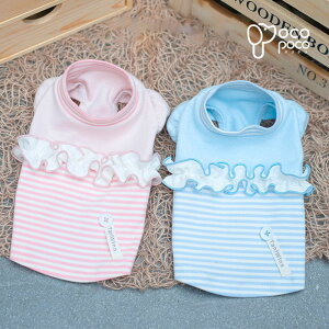   ^Ngbv    킢  LN^[ ₷ ̎q j̎q uh  іh~ UEFA yAbN CX^f