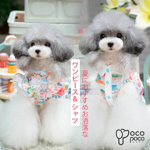   s[X Vc ^Ngbv t    킢  ₷ ̎q j̎q uh  іh~ UEFA yAbN CX^f