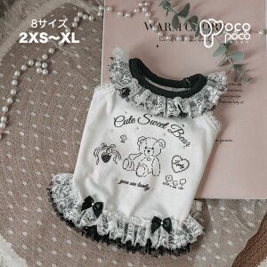  t  s[X L~s[X t    킢  ₷ ̎q j̎q uh  іh~ UEFA CX^fypt