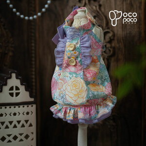  ĕ s[X t[vgs[X t    킢  ₷ ̎q j̎q uh  іh~ UEFA CX^f