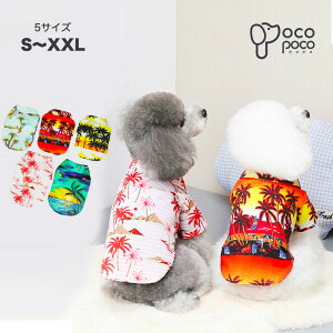 ySi|Cg5{z t hbOEFA An t   킢 Jt ` ~j`A_bNX gCv[h _bNX U  ё΍ ybg