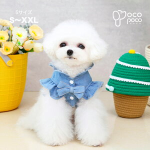 ySi|Cg5{z t ^ n[lX fj   o U  s[X lC ̎q j̎q ybgpi [