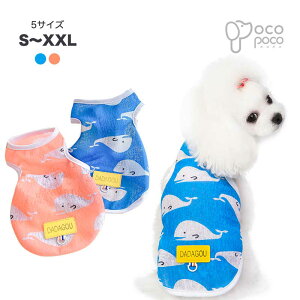 ySi|Cg5{z t ^ ^Ngbv N[  畿  ̕ hbOEFA Ȃ m[X[u   ̎q j̎q lC CX^f v[g