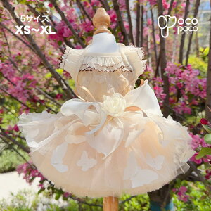 ̕ hX hbOEFA ybgEFA EFfBOhX OhbO p[eB[hX s[X  Pl vZX  i j LOp[eB[ L nhCh