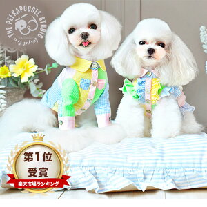  t yyVLO1ʁz ĕ  ybg ybgEFA hbOEGA ^ U  킢 낢 yAbN  IV pXeJ[ ̓