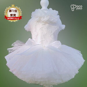 ySi|Cg5{z t  ^ EFfBOhX p[eB[hX s[X  Pl vZX  i j OhbO ߑ  LOp[eB[ nh