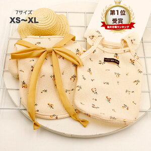  t ĕ pTVc L~\[ ^Ngbv Ȃ t`uhbO  t hbOEFAF |O tĐV  ^   ̎q j