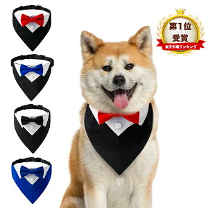 ySi|Cg5{zp Lp  lN^C lN^C  tH[} OhbO v|[Y tH[} hbO^LV[h o_i ^ ^ ^ L ߉\ p[eB