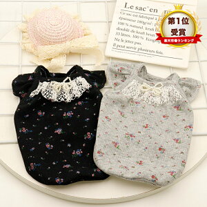  t ĕ L~\[ Ȃ t`uhbO t LkQ  hbOEFA ԕ | ₷ ^   ̎q j̎q lC CX^f