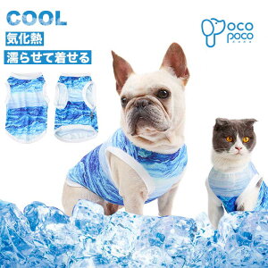 ySi|Cg5{z ĕ N[ ^Ngbv bV Ђ p CM p ΍ ЂObY  ^ ^ ^ ̃|R|R yp悠z