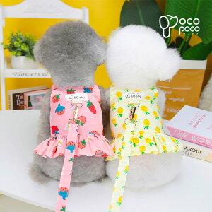 ySi|Cg5{zĕ n[lX [ht 킢 ^    s[X lC  EFAn[lX ̎q j̎q v[g CX^f