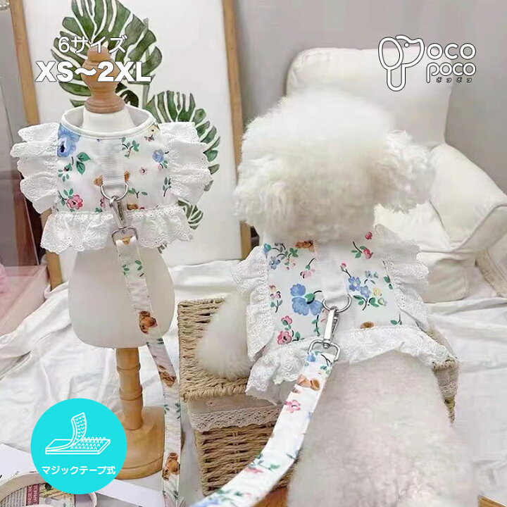 楽天市場】犬服 INS風 犬用ハーネスリード付きセット かわいい 