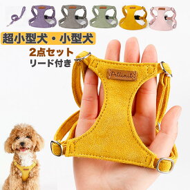 犬 ハーネス リード付き 簡単装着 軽量 超小型犬 小型犬 中型犬 かわいい おしゃれ 犬用 胴輪 負担が少ない 抜けない ダブルロック メッシュ お出かけ お散歩 ドッグウェア