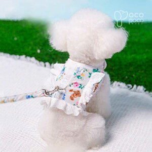 ySi|Cg5{z t  n[lX 킢 ^ p   U o ȒP   ʋCQ