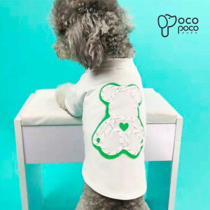 tVc F JCC   킢  ₷ ̎q j̎q CX^f ^ pyp悠z