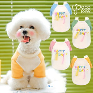 ySi|Cg5{z H~ hbOEFA ^Ngbv TVc ybgEFA ^ L U  킢 낢 yAbN pXeJ[ CX^f