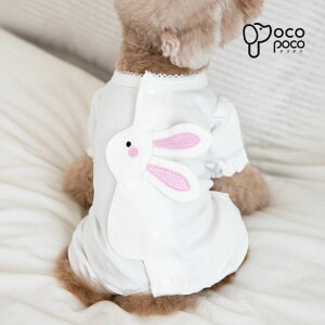 ySi|Cg5{z ̕ hbOEFA g H~  [EFA t H ~ ё΍ hbOEFA  ^ ^ pW} Ȃ Jo[I[ p[X v[